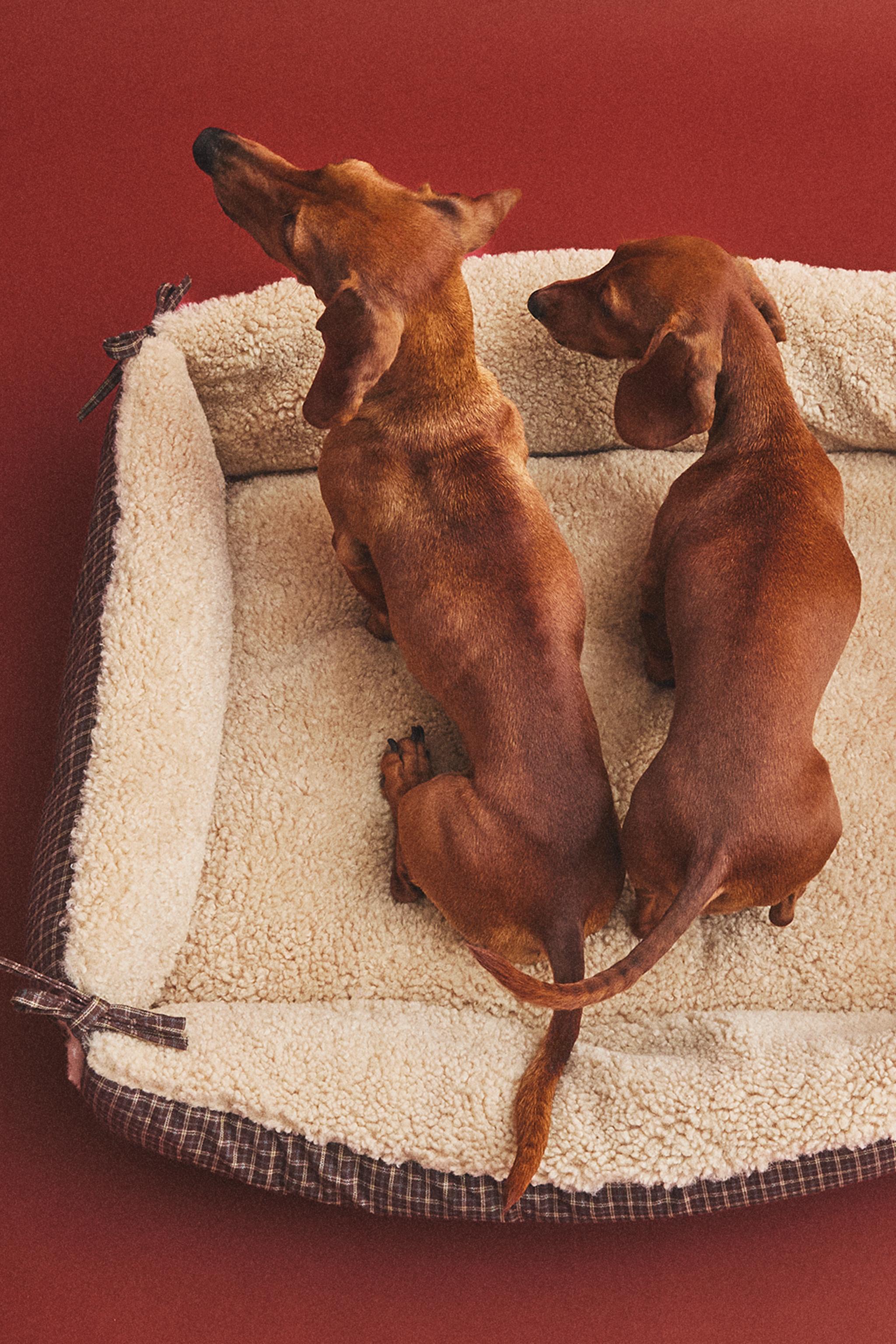 PANIER ANIMAUX DE COMPAGNIE CARREAUX